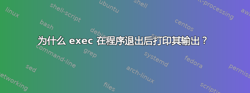 为什么 exec 在程序退出后打印其输出？