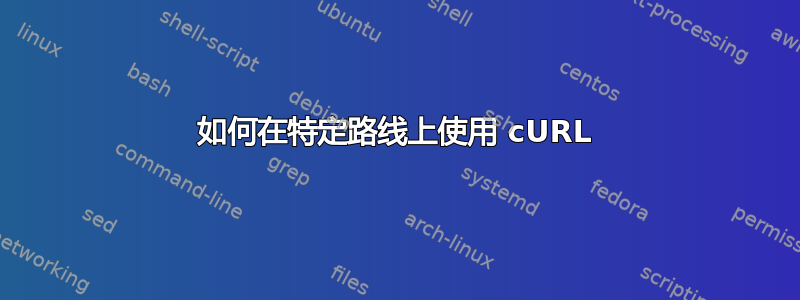 如何在特定路线上使用 cURL