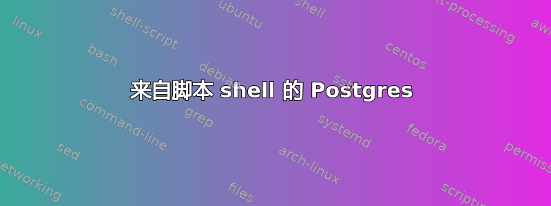 来自脚本 shell 的 Postgres