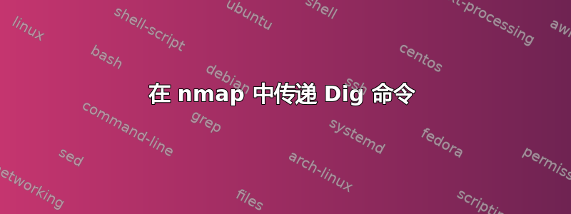 在 nmap 中传递 Dig 命令