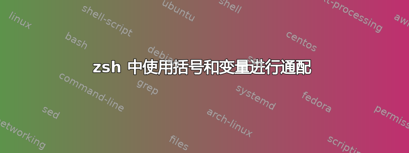 zsh 中使用括号和变量进行通配