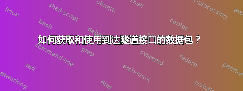 如何获取和使用到达隧道接口的数据包？