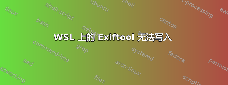 WSL 上的 Exiftool 无法写入