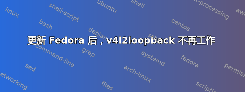 更新 Fedora 后，v4l2loopback 不再工作