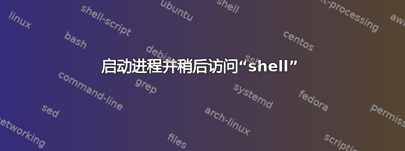 启动进程并稍后访问“shell”