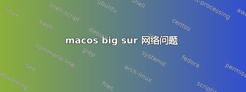 macos big sur 网络问题