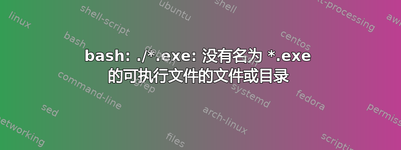 bash: ./*.exe: 没有名为 *.exe 的可执行文件的文件或目录