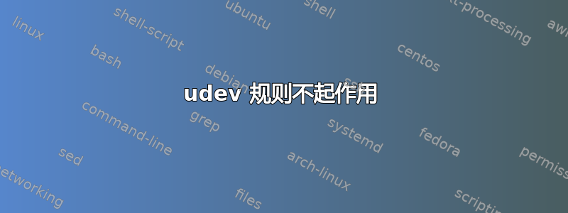 udev 规则不起作用