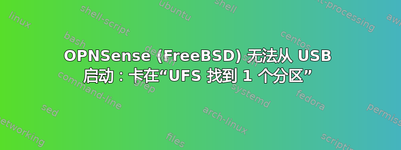 OPNSense (FreeBSD) 无法从 USB 启动：卡在“UFS 找到 1 个分区”