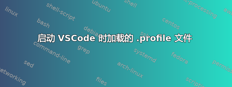 启动 VSCode 时加载的 .profile 文件