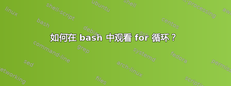 如何在 bash 中观看 for 循环？