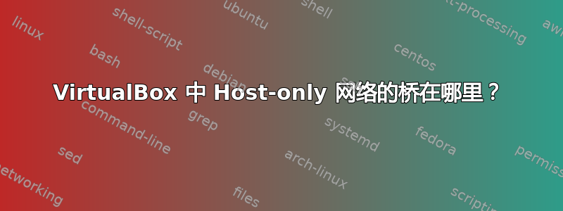 VirtualBox 中 Host-only 网络的桥在哪里？