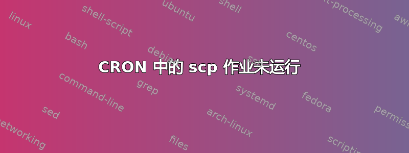 CRON 中的 scp 作业未运行 