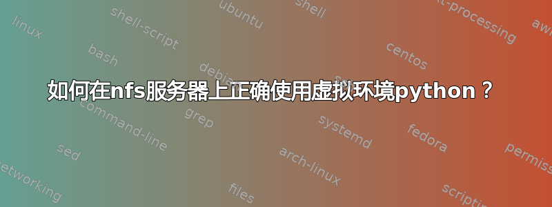 如何在nfs服务器上正确使用虚拟环境python？