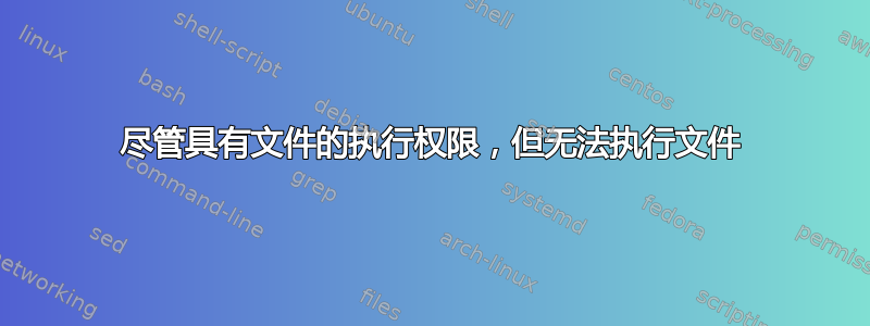 尽管具有文件的执行权限，但无法执行文件