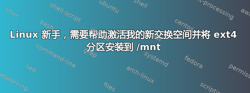 Linux 新手，需要帮助激活我的新交换空间并将 ext4 分区安装到 /mnt