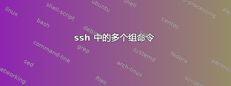 ssh 中的多个组命令