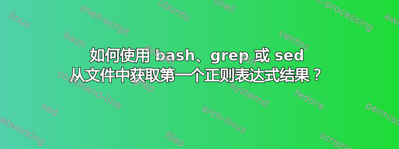 如何使用 bash、grep 或 sed 从文件中获取第一个正则表达式结果？