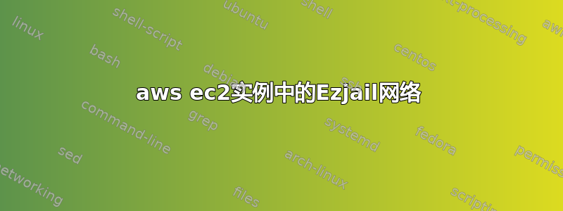 aws ec2实例中的Ezjail网络