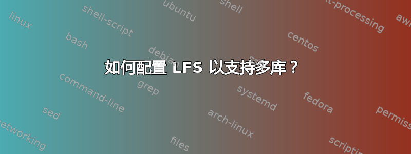 如何配置 LFS 以支持多库？