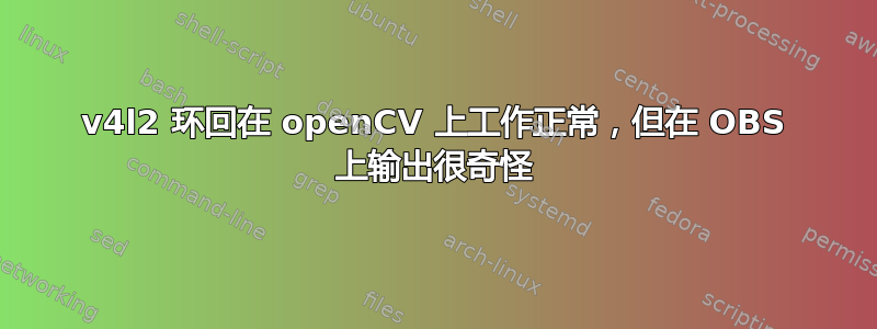 v4l2 环回在 openCV 上工作正常，但在 OBS 上输出很奇怪