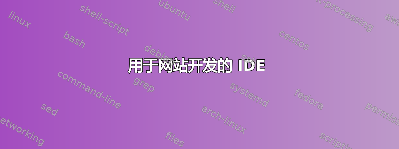 用于网站开发的 IDE