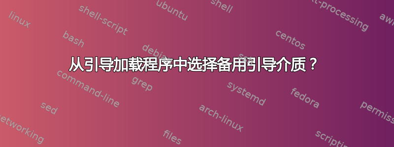 从引导加载程序中选择备用引导介质？