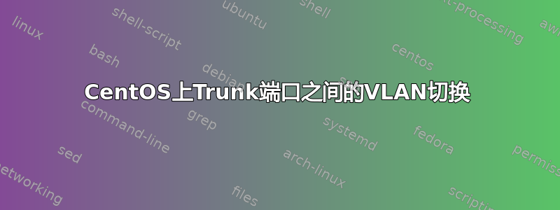 CentOS上Trunk端口之间的VLAN切换