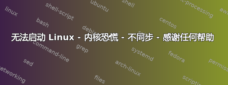 无法启动 Linux - 内核恐慌 - 不同步 - 感谢任何帮助