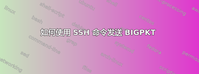 如何使用 SSH 命令发送 BIGPKT