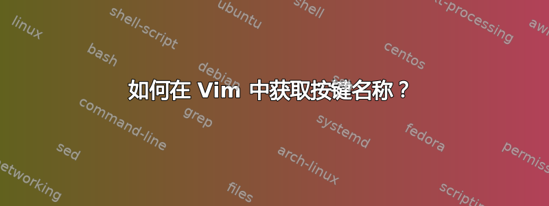 如何在 Vim 中获取按键名称？