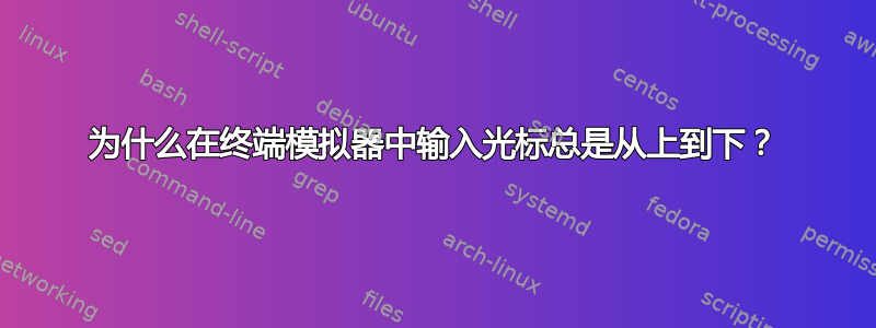 为什么在终端模拟器中输入光标总是从上到下？