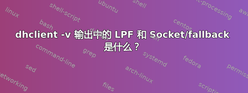 dhclient -v 输出中的 LPF 和 Socket/fallback 是什么？