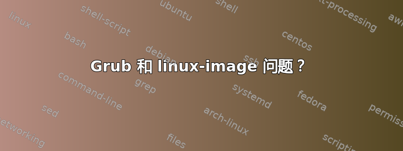 Grub 和 linux-image 问题？