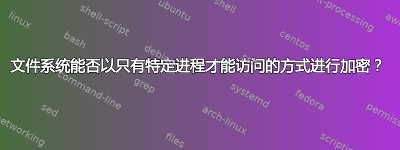 文件系统能否以只有特定进程才能访问的方式进行加密？