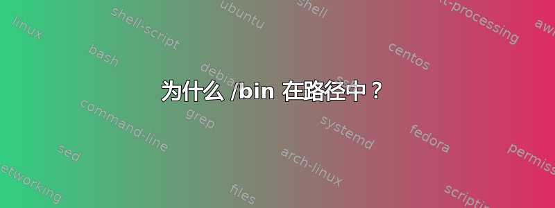 为什么 /bin 在路径中？