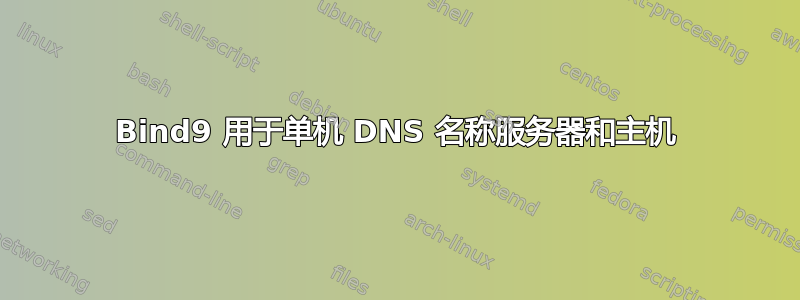 Bind9 用于单机 DNS 名称服务器和主机