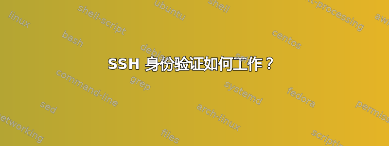 SSH 身份验证如何工作？