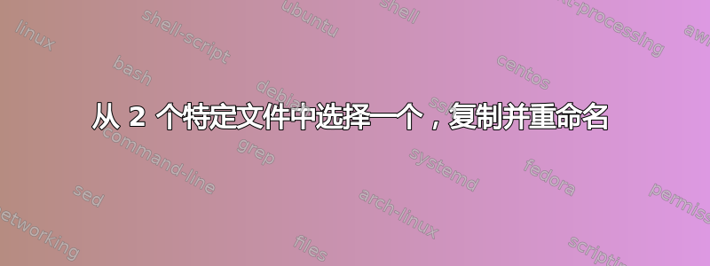 从 2 个特定文件中选择一个，复制并重命名