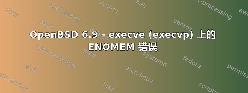 OpenBSD 6.9 - execve (execvp) 上的 ENOMEM 错误