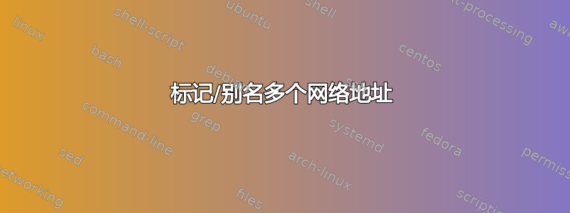 标记/别名多个网络地址