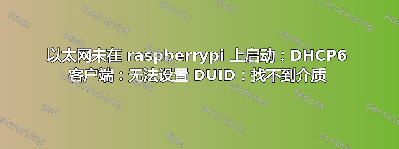 以太网未在 raspberrypi 上启动：DHCP6 客户端：无法设置 DUID：找不到介质