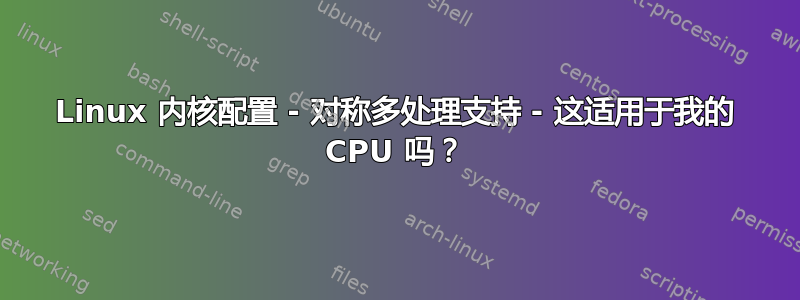 Linux 内核配置 - 对称多处理支持 - 这适用于我的 CPU 吗？