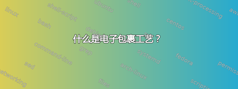 什么是电子包裹工艺？