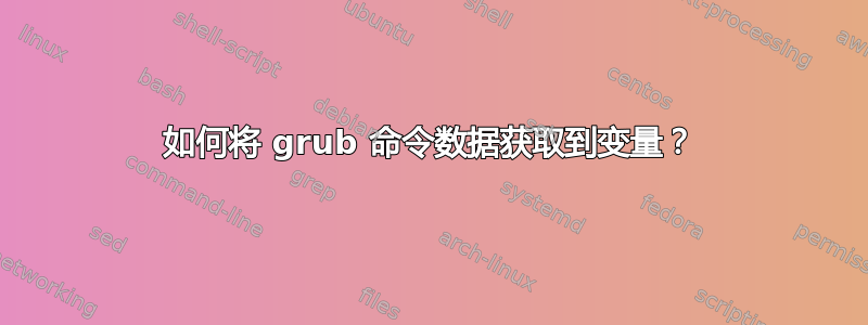 如何将 grub 命令数据获取到变量？