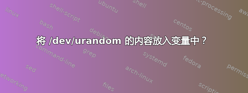 将 /dev/urandom 的内容放入变量中？