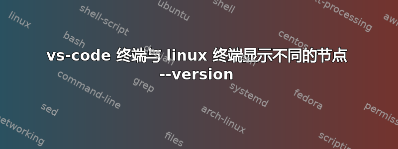 vs-code 终端与 linux 终端显示不同的节点 --version