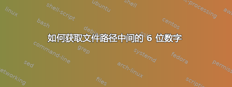 如何获取文件路径中间的 6 位数字