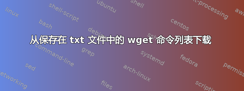 从保存在 txt 文件中的 wget 命令列表下载