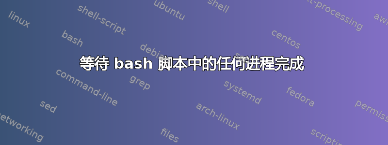 等待 bash 脚本中的任何进程完成